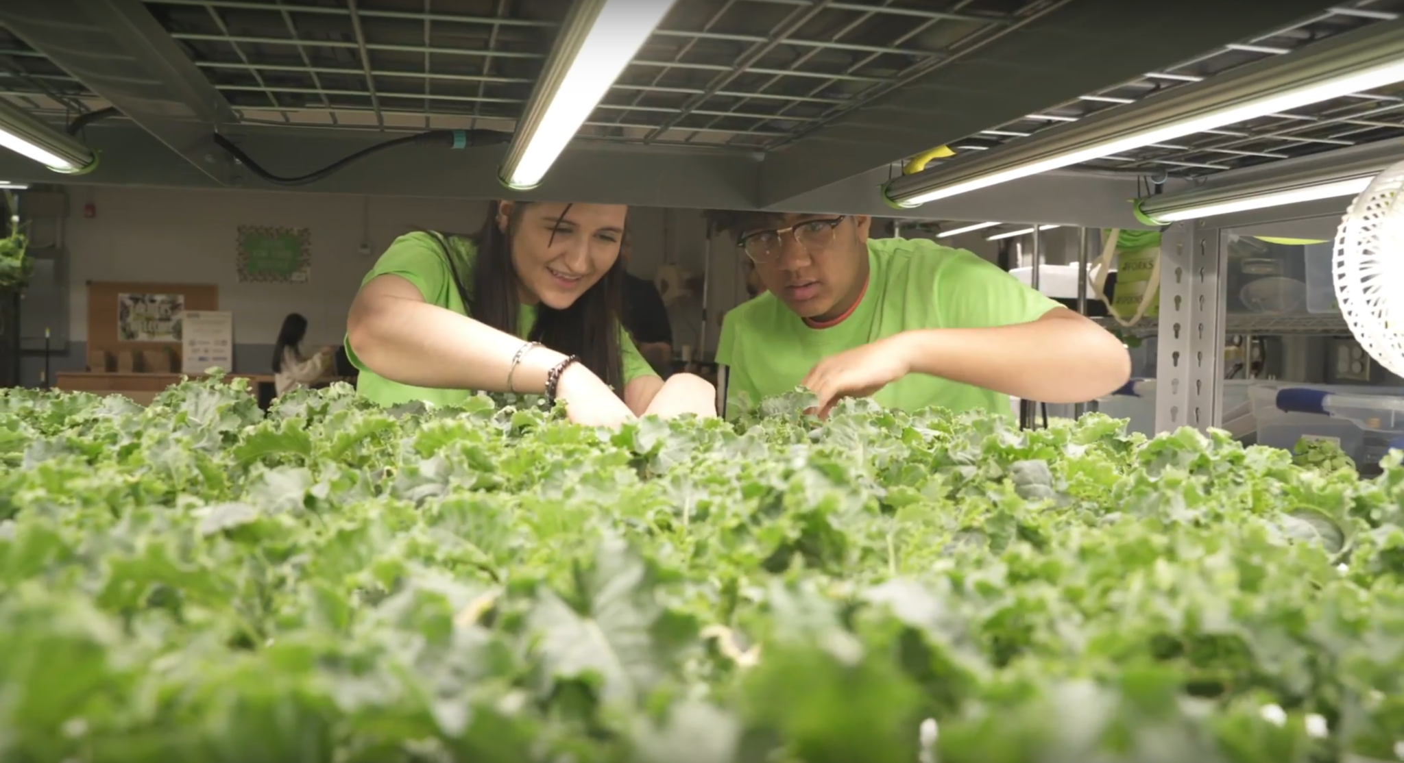 MLK students tending to the farm